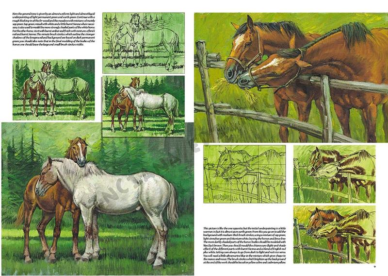 Imagem de Coleção Leonardo Vol. 06 - DESENHO E PINTURA - CAVALOS