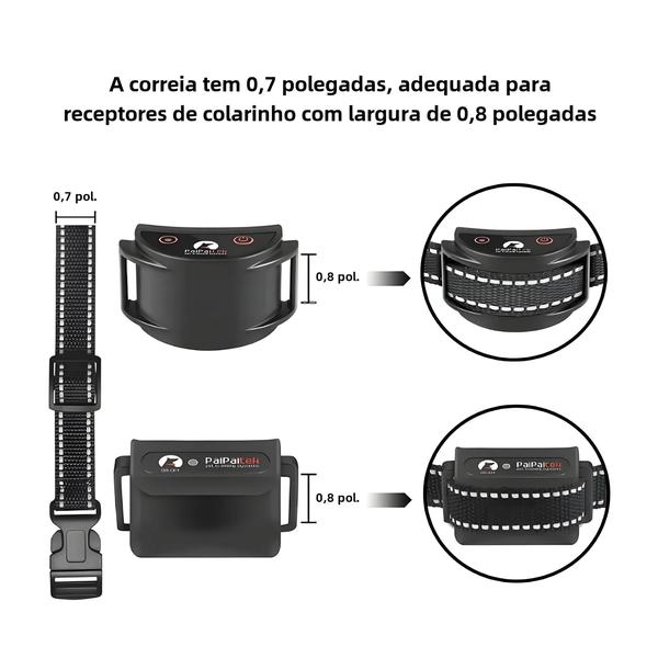 Coleira de Choque Ajustável de Nylon com Fivela de Liberação Rápida para Cães Pequenos, Médios e Grandes Imagem de Coleira de Choque Ajustável de Nylon com Fivela de Liberação Rápida para Cães Pequenos, Médios e Grandes