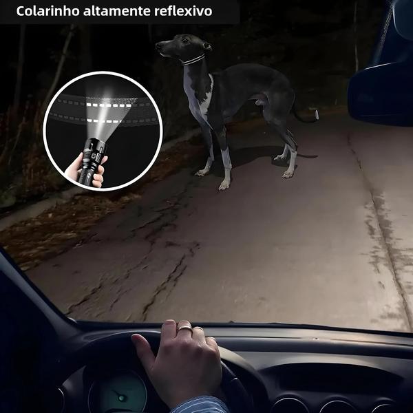 Coleira de Choque Ajustável de Nylon com Fivela de Liberação Rápida para Cães Pequenos, Médios e Grandes Imagem de Coleira de Choque Ajustável de Nylon com Fivela de Liberação Rápida para Cães Pequenos, Médios e Grandes