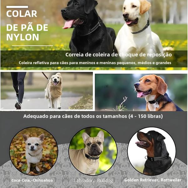 Imagem de Coleira de Choque Ajustável de Nylon com Fivela de Liberação Rápida para Cães Pequenos, Médios e Grandes