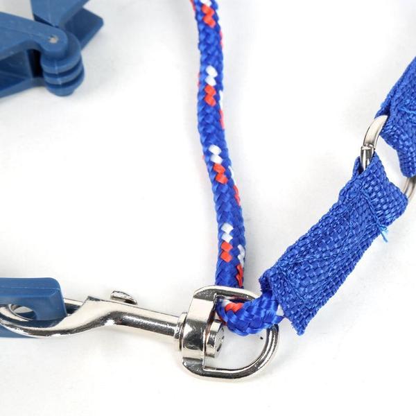 Coleira de treinamento para cães Don Sullivan Perfect Dog ajustável - Wokex Imagem de Coleira de treinamento para cães Don Sullivan Perfect Dog ajustável