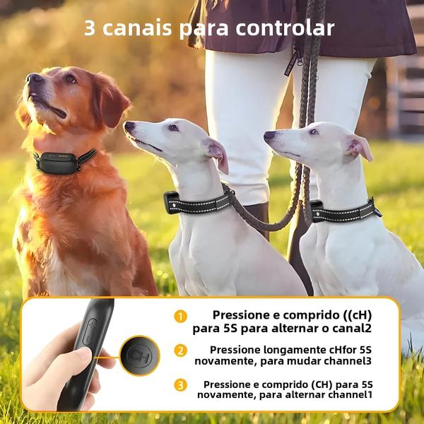 Imagem de Coleira Elétrica de Treinamento para Cães ROJECO - Recarregável, à Prova d'Água, com Controle Remoto