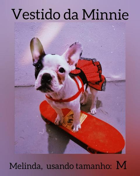 Imagem de Coleira Pet Vestido Minnie Vermelho Tam: P