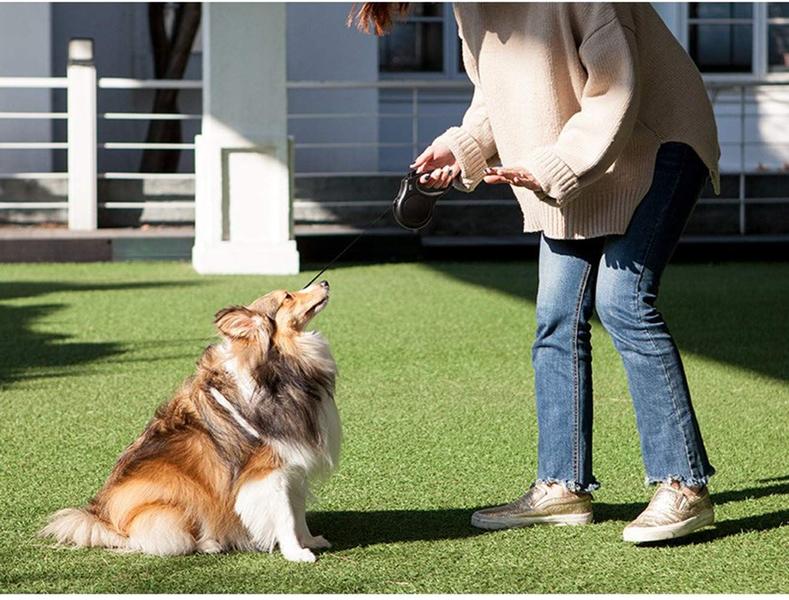 Imagem de Coleira retrátil para cães Fida 16 pés para cães pequenos de até 12 kg