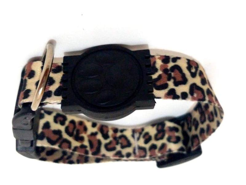 Coleira Seda 25mm onça Tamanho Único (32 cm a 49 cm) - Nica pet Imagem de Coleira Seda 25mm onça Tamanho Único (32 cm a 49 cm)