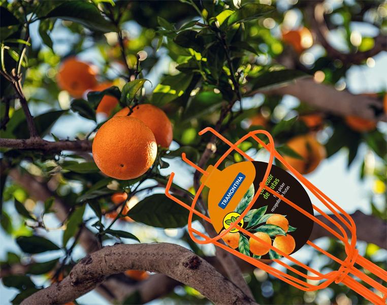 Imagem de Colhedor De Frutas Apanhador Pequeno Aço Carbono Sem Cabo Resistente Duravel Ferramentas Jardinagem Tramontina Ref. 77819121