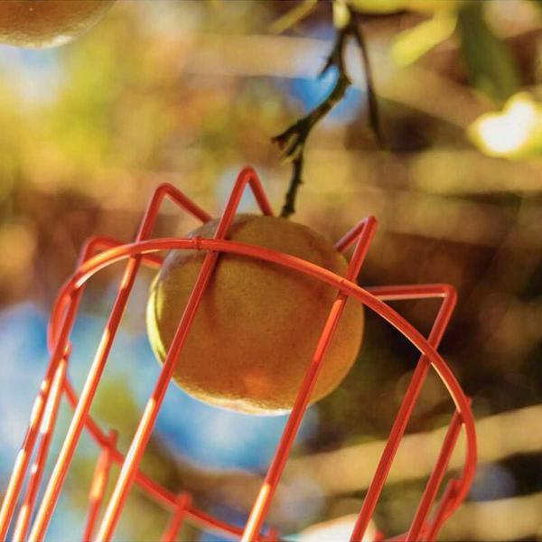 Imagem de Colhedor de Frutas Médio em Aço sem Cabo Tramontina