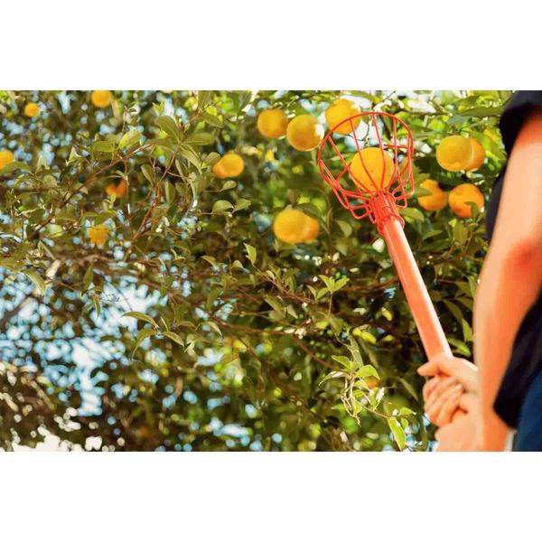 Imagem de Colhedor de Frutas Pequeno Tramontina Em Aço Sem Cabo 77819121