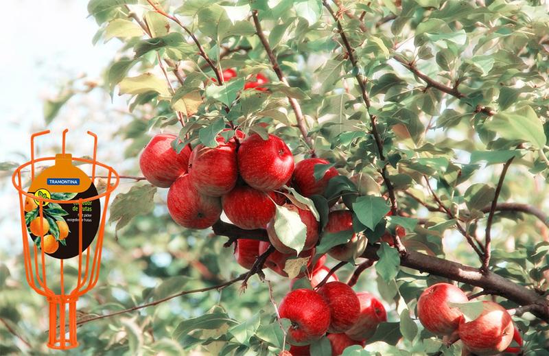 Imagem de Colhedor De Frutas Tramontina Tamanho Pequeno Sem Cabo - Apanhador De Laranjas, Maças, Limão