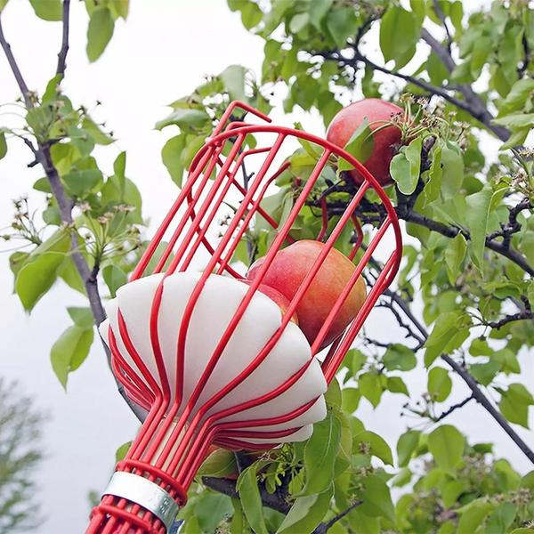 Imagem de Colhedor de frutas Wokex Cesta de aço de 0,5 a 4 m de comprimento multicolorida