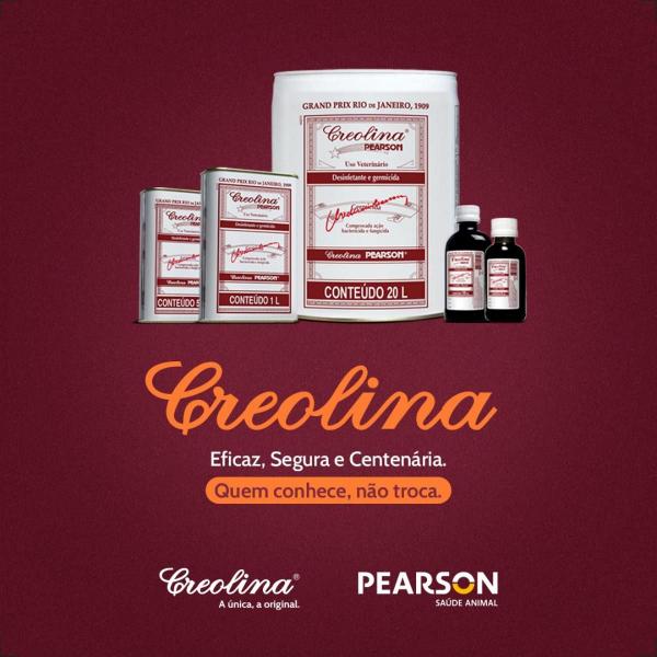 Imagem de Combo 2 Creolina Pearson Lata Desinfetante E Germicida - 500ml