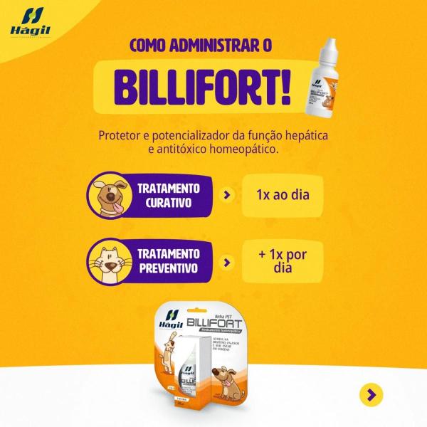 Imagem de Combo 3 Billifort Tratamento Hepático Hágil Terapêutica - 30ml