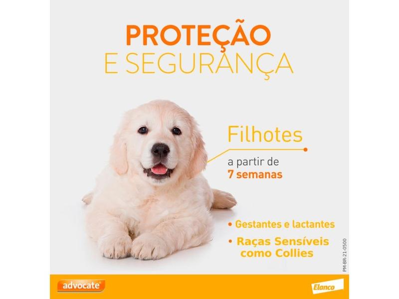 Imagem de Combo Advocate Cão 1ml 4 a 10kg - 3 Pipetas - 2 Unidades