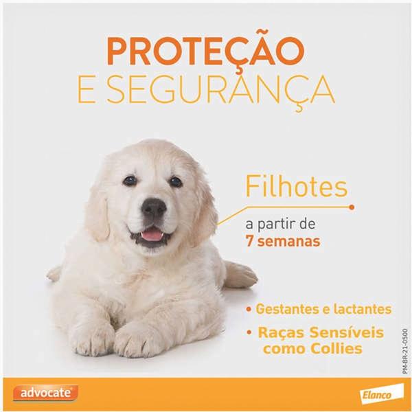 Imagem de Combo Antipulgas Advocate Cães 4 à 10kg C/3 Bisnagas