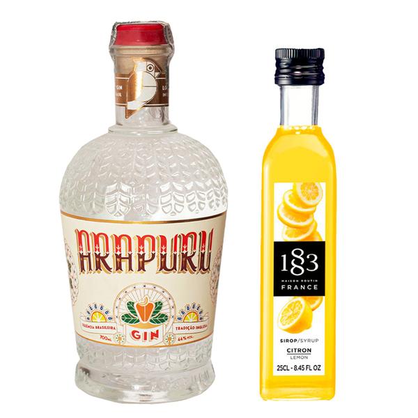 Imagem de Combo Gin Arapuru 700ml + Xarope de Limão 1883 250ml