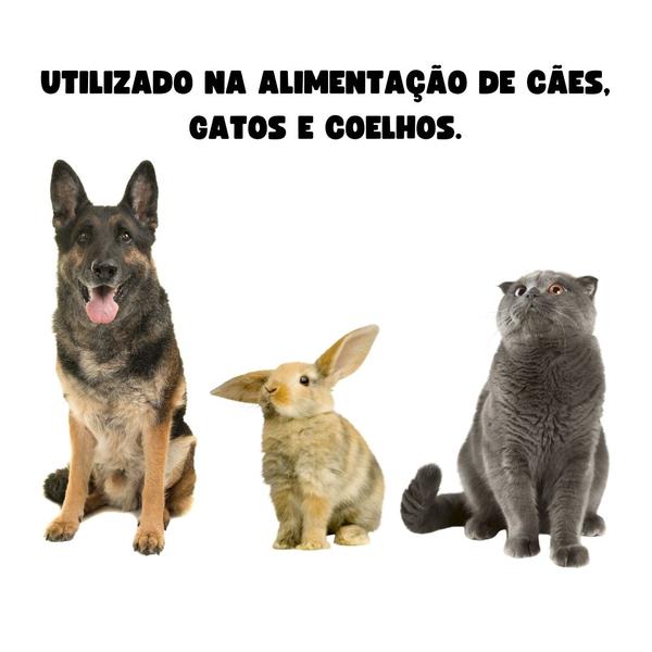 Imagem de Comedouro Automático de Aço Cães Gato Coelho 5kg Fercar