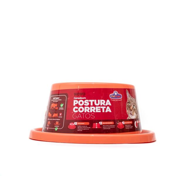 Imagem de Comedouro de Postura Correta para Gatos Coral