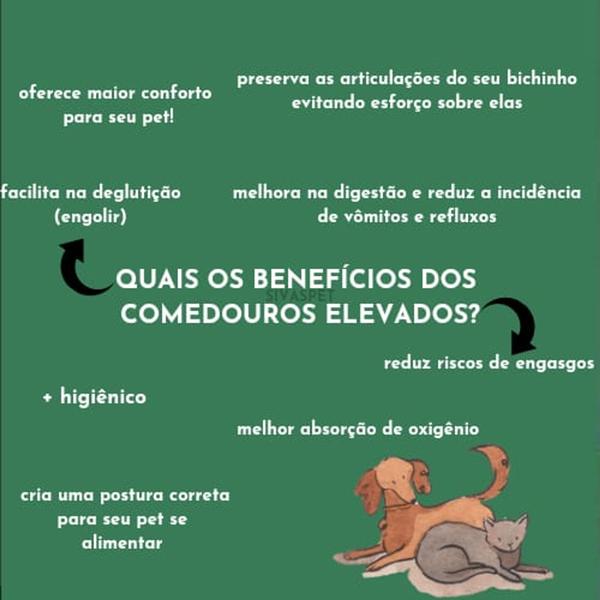 Imagem de Comedouro Duplo Para Cães e Gatos Tamanho PP Envio Imediato!