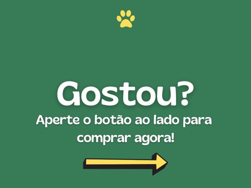 Imagem de Comedouro Duplo Para Cães e Gatos Tamanho PP Envio Imediato!