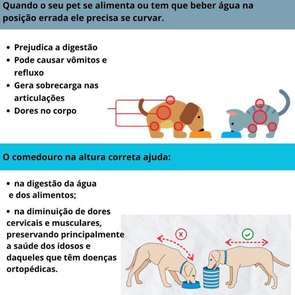 Imagem de Comedouro Elevado Triplo Para Cães e Gatos