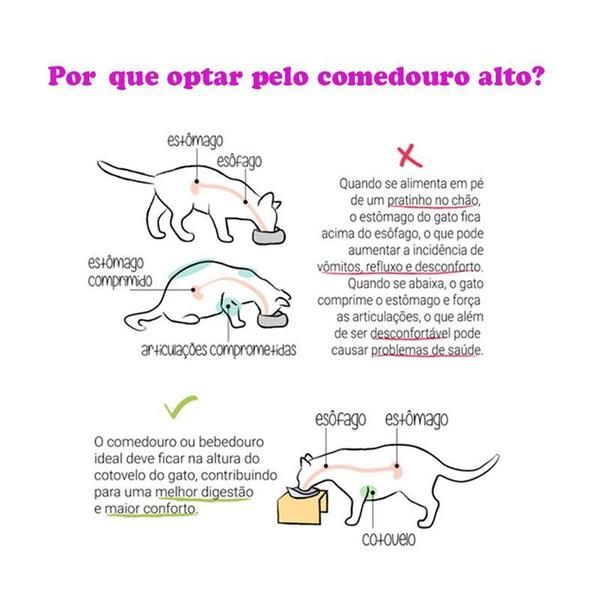 Imagem de Comedouro para Gatos Plástico Elevado Antiformigas e Higiênico com Base Antiderrapante Verde