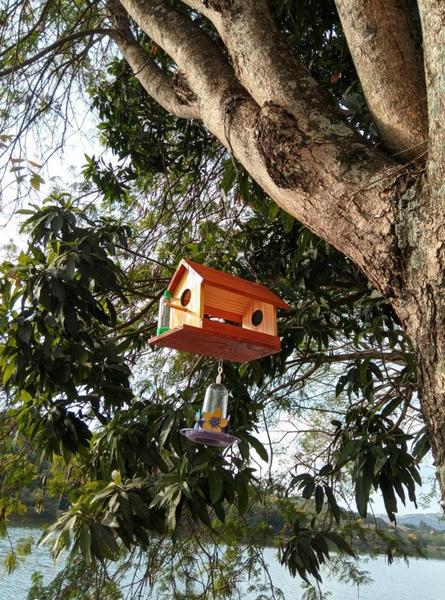 Imagem de Comedouro Tratador + Bebedouro Pássaros Livres Madeira Eco.