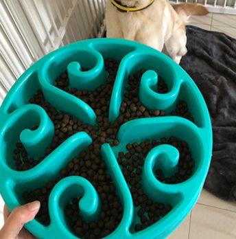 Imagem de Comida antiderrapante Slow Feeder Dog Bowl Wokex para cães grandes e médios