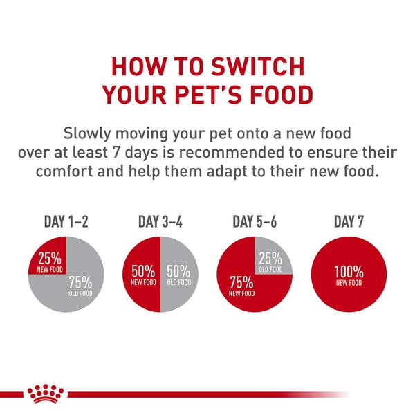 Imagem de Comida enlatada para cães Royal Canin Digestive Care 400g