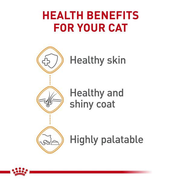 Imagem de Comida enlatada para gatos Royal Canin Hair & Skin Care 85g (pacote com 24)