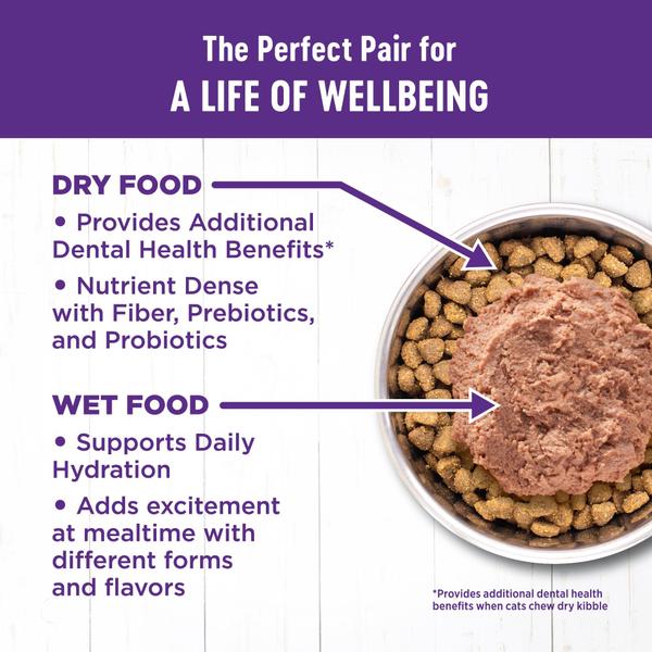 Imagem de Comida enlatada para gatos Wellness Complete Health Chicken Pate 90g