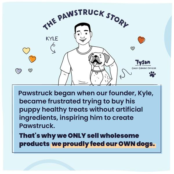 Imagem de Comida para cães Pawstruck Air Dried W/Real Chicken Grain Free 2 libras