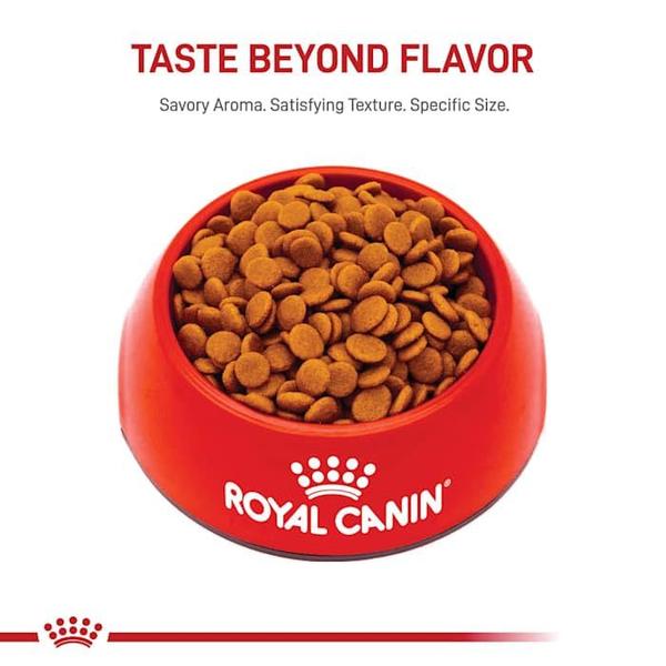 Imagem de Comida para cães Royal Canin Small Digestive Care 7,7 kg para cães pequenos