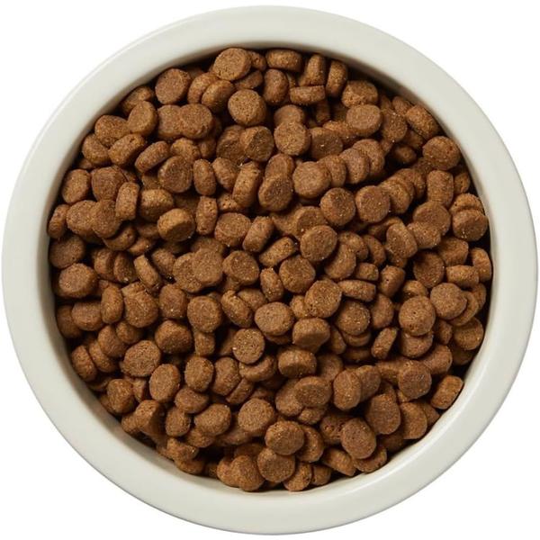 Imagem de Comida para cães WAG Wag Dry Beef & Brown Rice 13,6 kg (pacote com 1)