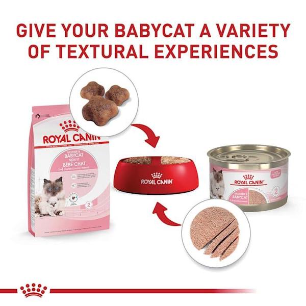 Imagem de Comida para gatos Royal Canin Feline Mother & Babycat 2,7 kg