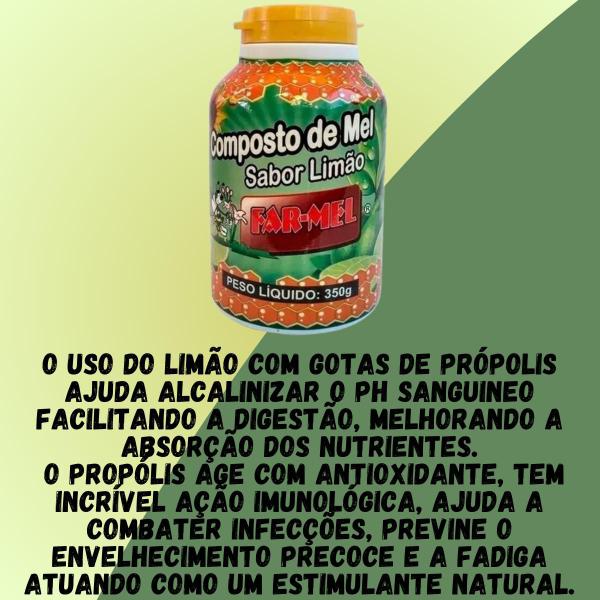 Imagem de Composto Antigripal Farmel Mel e Limão 350g Kit Promocional 2 Unidades