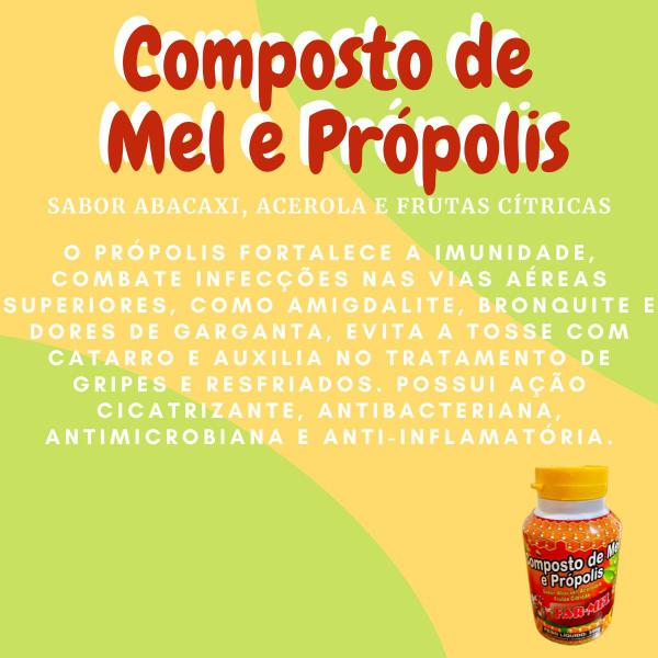 Imagem de Composto Antigripal Farmel Mel, Própolis, Abacaxi, Acerola e Frutas Cítricas 350g Kit Promocional 6 Unidades