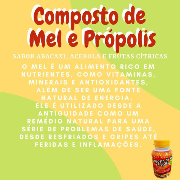 Imagem de Composto Antigripal Farmel Mel, Própolis, Abacaxi, Acerola e Frutas Cítricas 350g Kit Promocional 6 Unidades