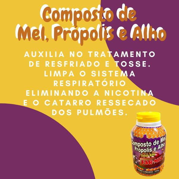 Imagem de Composto Antigripal Farmel Mel, Própolis e Alho 350g - Kit Promocional 10 Unidades