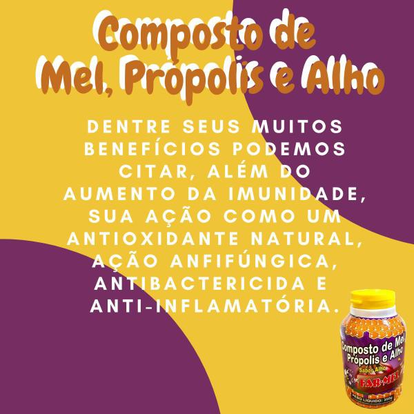 Imagem de Composto Antigripal Farmel Mel, Própolis e Alho 350g