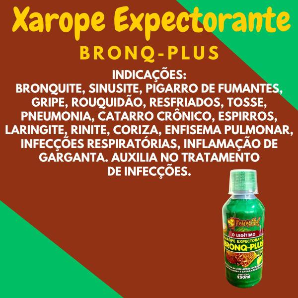 Imagem de Composto de Mel Super Enriquecido com Plantas e Ervas Medicinais Faramel Bronq-Plus Frasco 250ml Kit Promocional 2 Unida