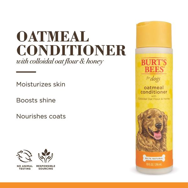 Imagem de Condicionador para cães BURT'S BEES PARA ANIMAIS DE ESTIMAÇÃO Aveia com mel 300mL