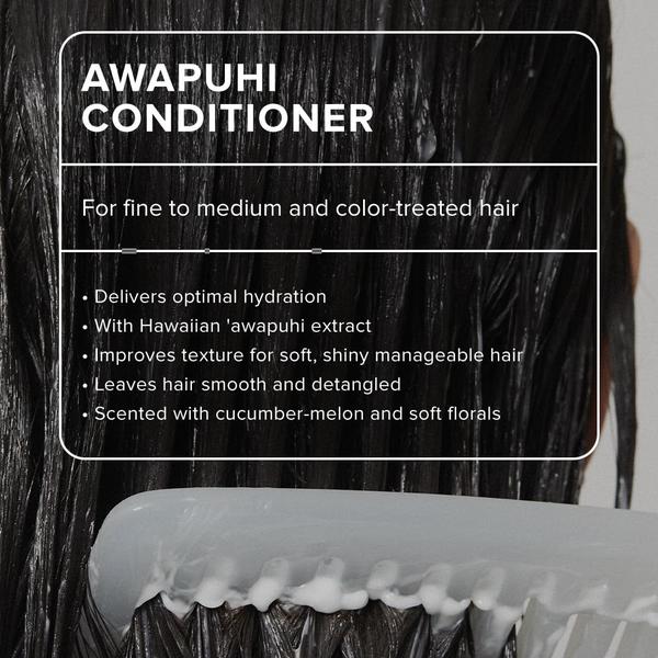 Imagem de Condicionador Paul Mitchell Awapuhi Lightweight Rinse 1L