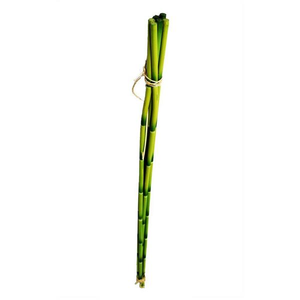Imagem de Conjunto Bambu Amarrado C/fita 75cm Flor Arte