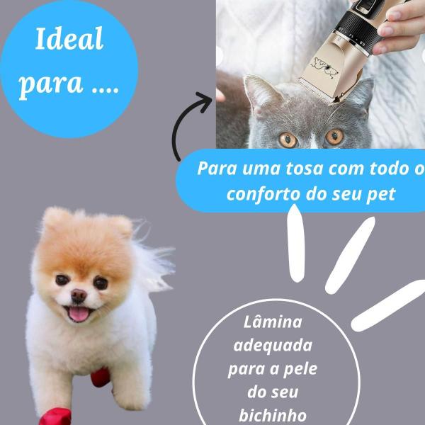 Imagem de Conjunto Completo Tosa Pet - Máquina E Ferramentas Pet Shop