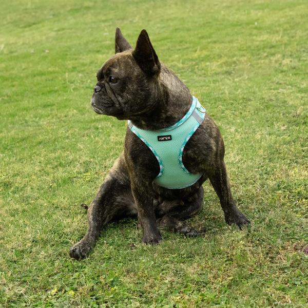 Imagem de Conjunto de arnês para cães AMTOR No Pull, coleira reflexiva ajustável