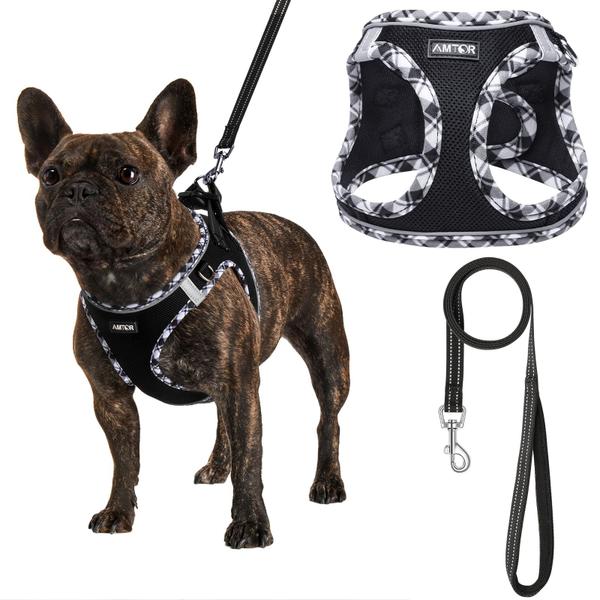 Imagem de Conjunto de arnês para cães AMTOR No Pull, refletivo ajustável