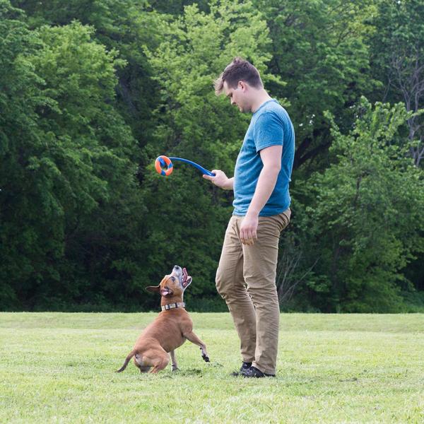 Conjunto de brinquedos para cães Chuckit! Lançador de bolas Ring Chaser com bola de 4,5 cm Imagem de Conjunto de brinquedos para cães Chuckit! Lançador de bolas Ring Chaser com bola de 4,5 cm