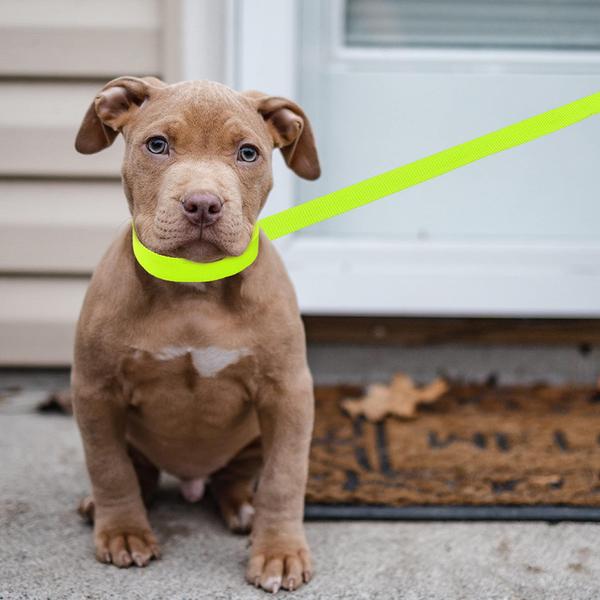 Imagem de Conjunto de coleiras Dog Slip Lead ATICNECH de 6 pés para pequenos, médios e grandes 