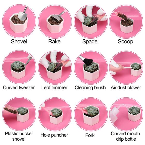 Imagem de Conjunto de Ferramentas para Suculentas ANPHSIN - 44 Peças com Tapete e Alfinete