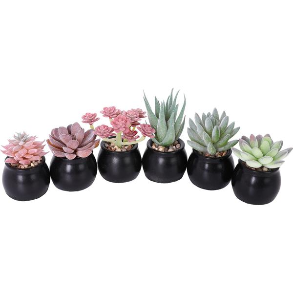 Imagem de Conjunto de plantas suculentas falsas Nubry Mini Ceramic Pots (6 unidades)